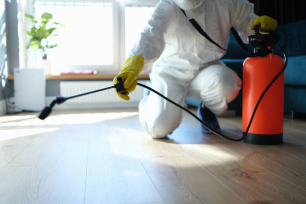 Flea Control Services in Camanche North Shore, CA