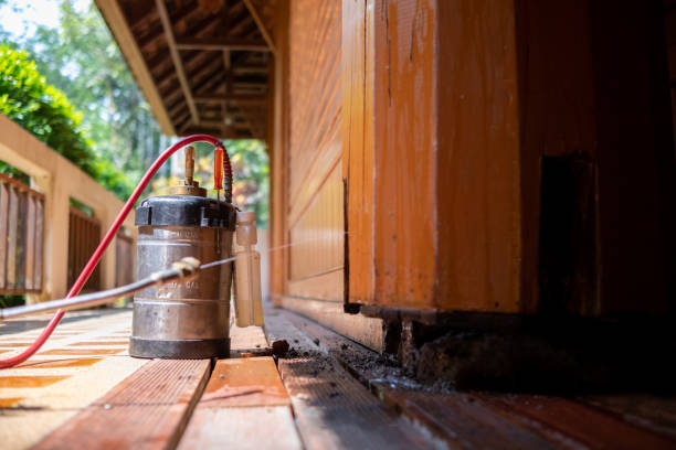 Best Pest Prevention Services  in Manche North Shore, CA